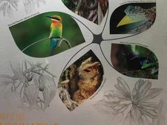 -武吉知马自然保护区