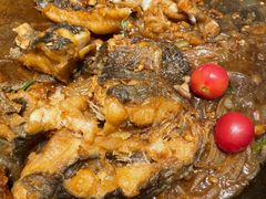 -老板恋上鱼(印象城店)