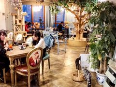 大堂-共舞时光猫咖·狗咖(新街口店)