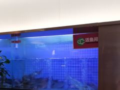 -老板恋上鱼(印象城店)