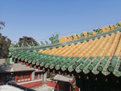 -香山公园