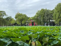 -四川大学(望江校区)