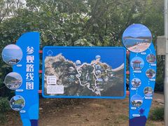 -广东惠东海龟国家级自然保护区