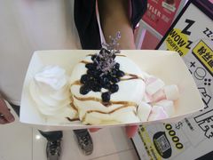 -狐狸和向日葵(北京路店)