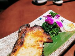 香煎银鳕鱼-熊藏居酒屋(kkone店)