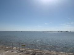-碧海金沙