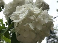 -紫霞湖公园