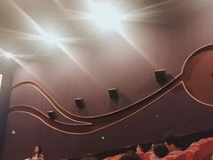 -武汉华夏国际影城(鲁广店)