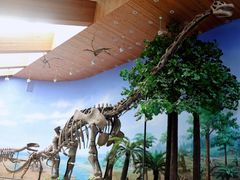 -延庆地质公园博物馆