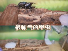 -正佳雨林生态植物园