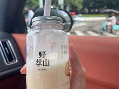 -野萃山·潮汕厚果汁(十亩地店)