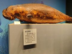 -天津自然博物馆