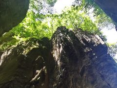 -牛背梁国家森林公园