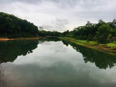 -聚龙山公园