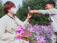 -天津武清北运河郊野公园房车露营地