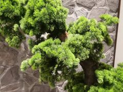 -毛家饭店·30年融合新湘菜(汉峪金谷店)