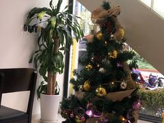 -DOUTOR德咖伦(吴江路店)