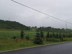 -塞罕坝国家级自然保护区