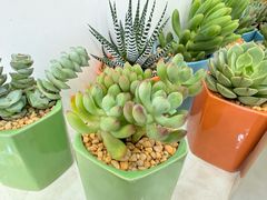 -摩登百货(岗顶店)