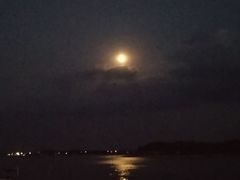 -琴岛之星摩天轮