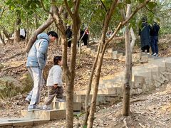 -杭州半山国家森林公园