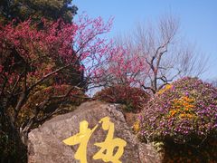 -无锡梅园公园