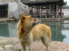 -楠溪江风景名胜区