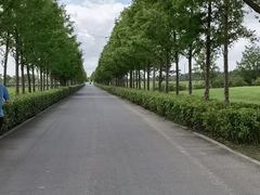 -嘉北郊野公园
