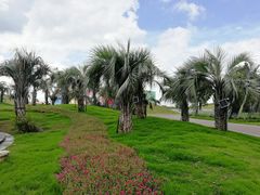 -南通洲际绿博园