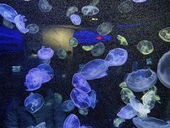 -华夏文旅西安度假区