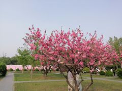 -太阳宫公园