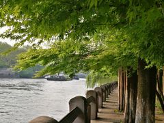 -运河游船(武林门码头)