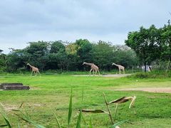 -宁波野生动物园