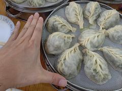 -小叶大馅饺子城