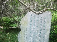 -棠湖公园