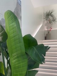 -LJOY丽锦造型·烫发染发