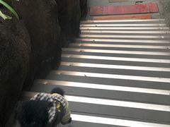-胖子好盐水鸭(总店)