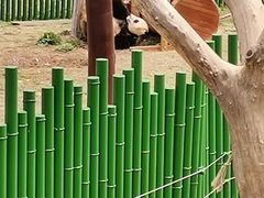 -沈阳森林动物园