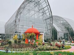 -南山植物园