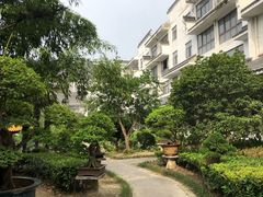 -绿园春早茶
