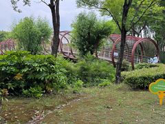 -南翔镇银翔湖公园