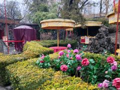 -白家大院·王府宫廷菜(苏州街店)