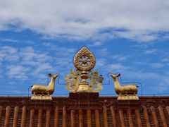 -大召无量寺