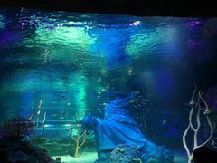 -沈阳海洋探索中心