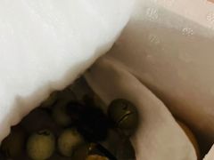 -伊顿幼儿园(济南大地锐城校区)