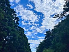 -庐山风景名胜区