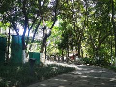 -成都市活水公园