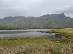 -大九湖