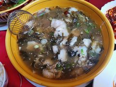 -熊猫川菜馆 panda chine