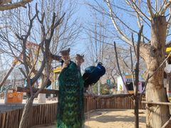 -辛玛王国游乐园